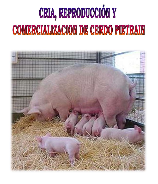 Cría y Reproducción